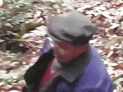 Série floresta - floresta selvagem